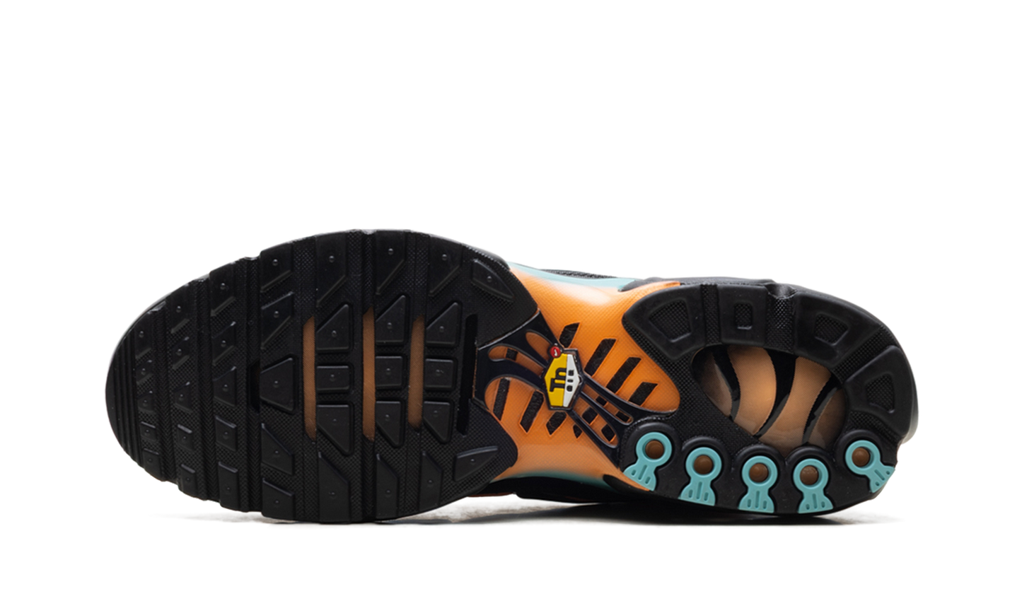 Air Max Plus "South Beach" DM0032 022
