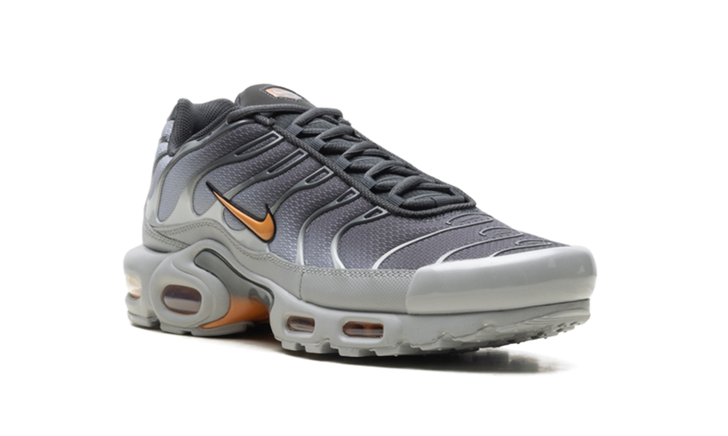 Air Max Plus "Light Smoke Grey Hot Curry" DM0032 037