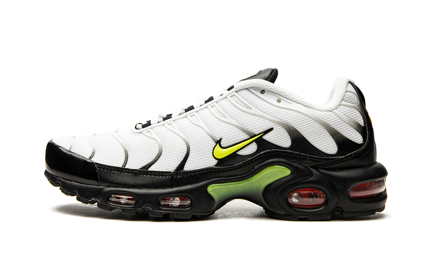 Air Max Plus "Retro Future" AJ2013 100