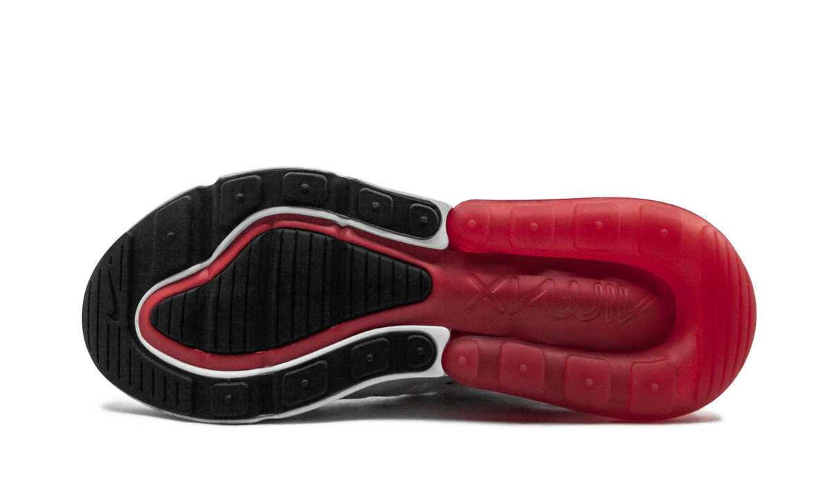 Air Max 270 "University Red" BV2523 100