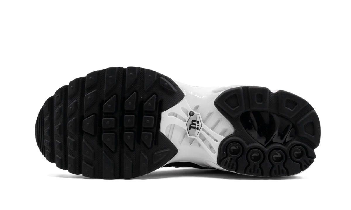 Air Max Plus GS "Black" 655020 077