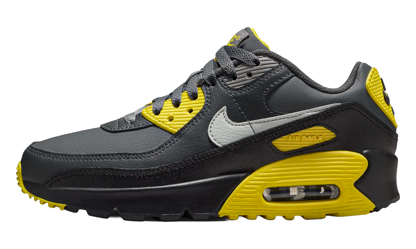Air Max 90 LTR GS "Lightning Smoke Grey Anthracite Light Silver" CD6864 702