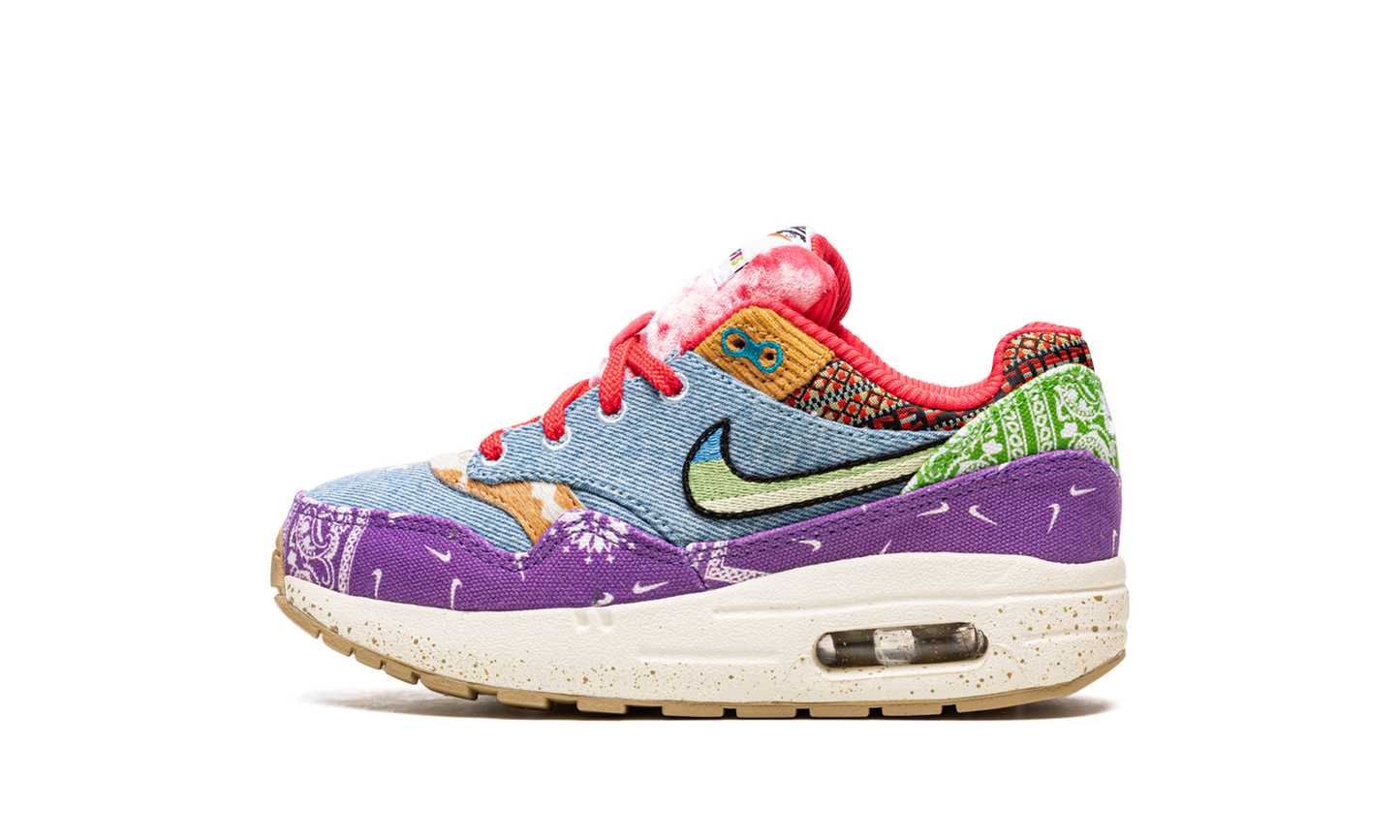Air Max 1 PS "Concepts Far Out" DR2362 100