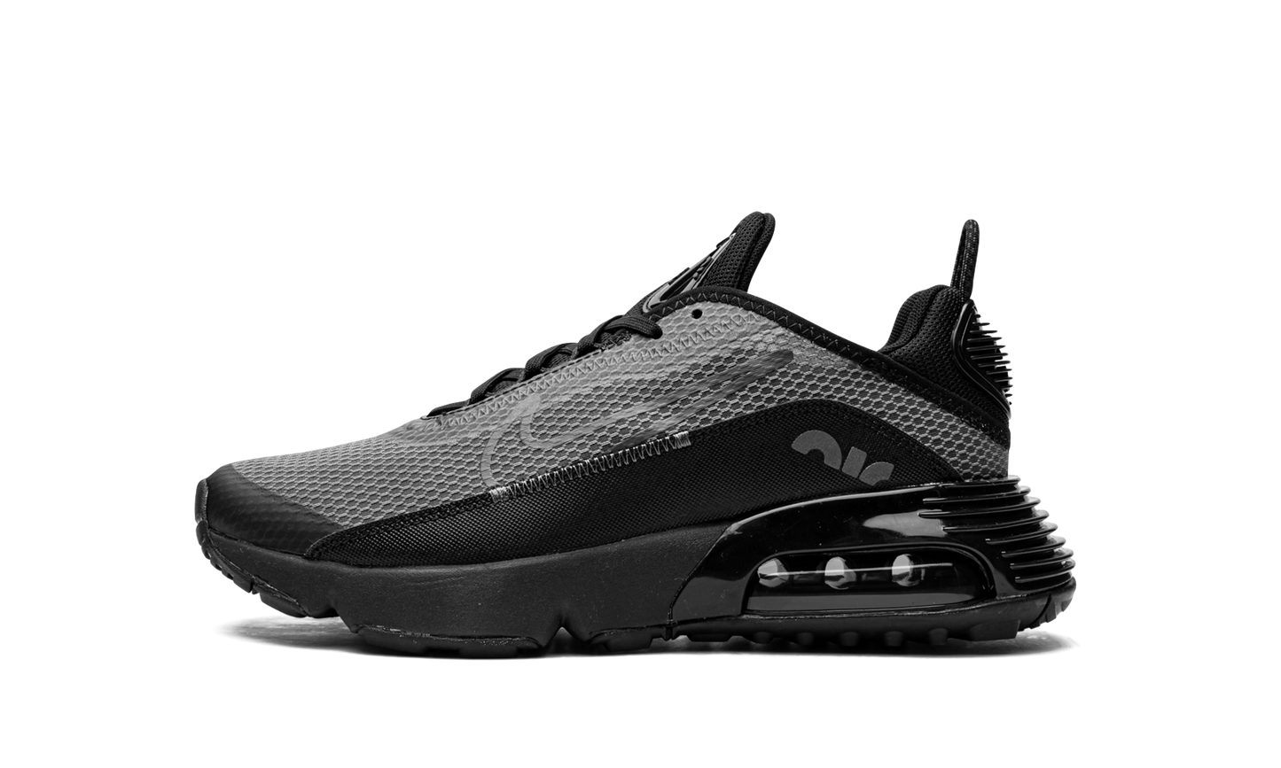 Air Max 2090(GS) "Black Wolf Grey" CJ4066 001