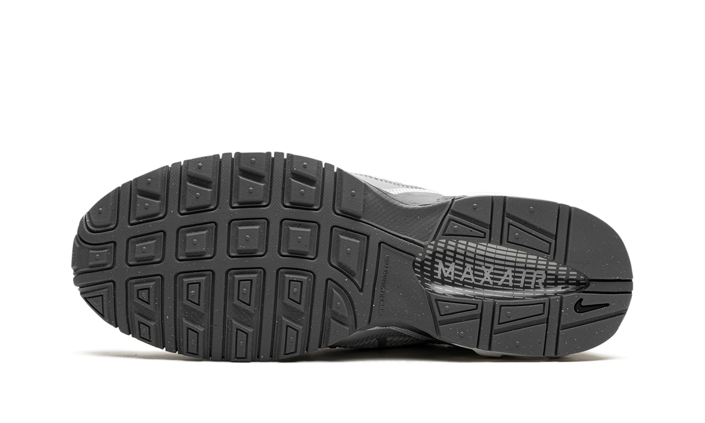 Air Max Torch 4 "White Wolf Grey" 343846 100