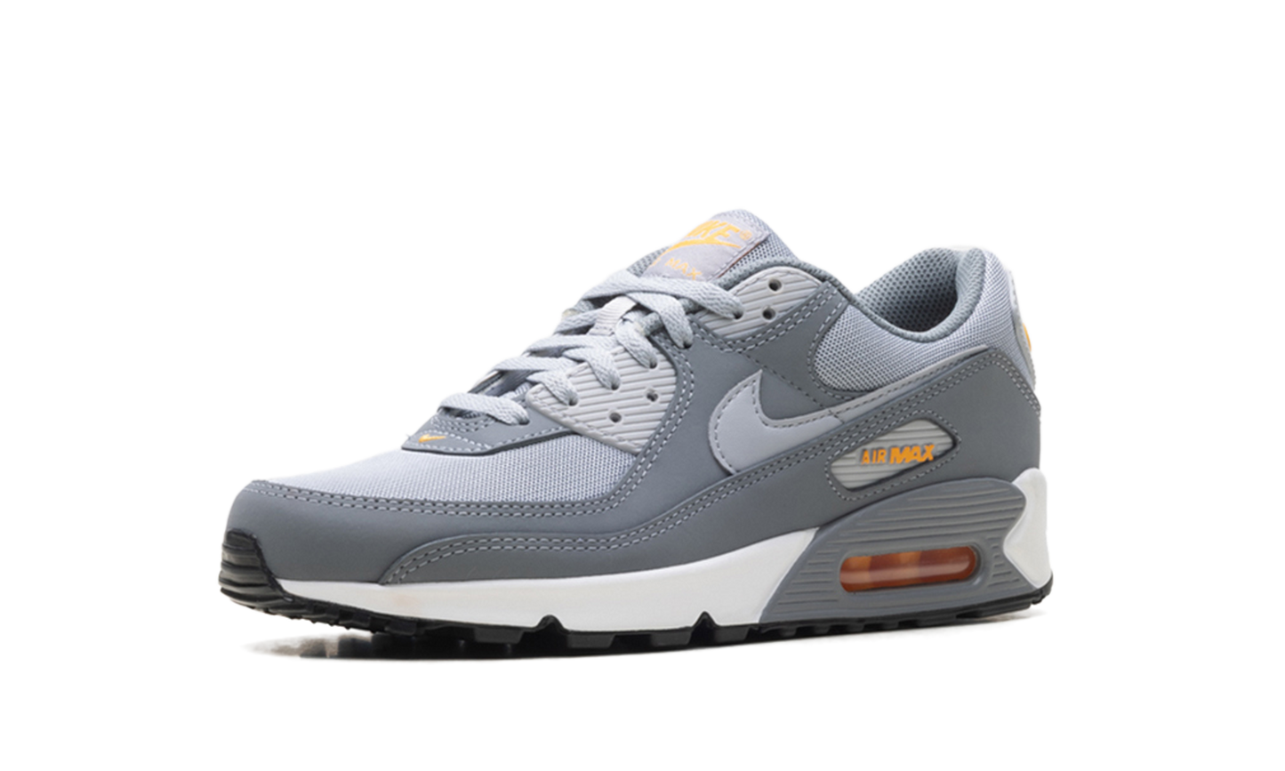 Air Max 90 "Cool Grey Sundial" HV6224 002