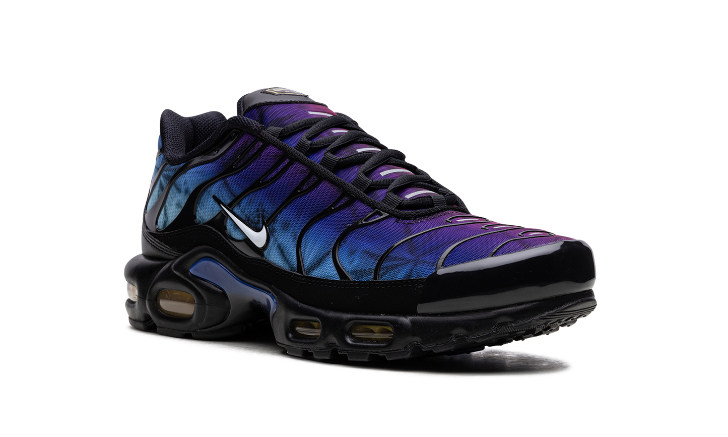Air Max Plus "25th Anniversary" FV0393 001