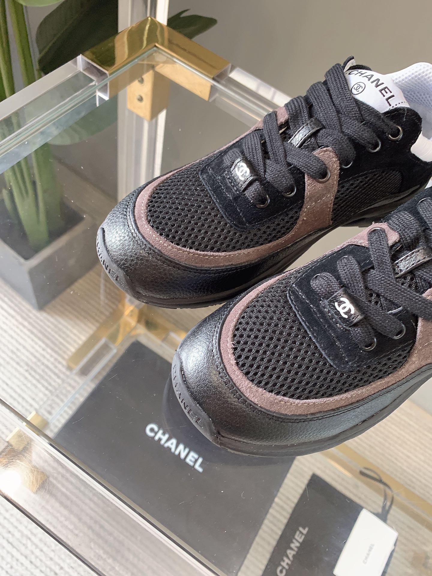 CC Sneaker In Black Mesh Fabric 145611