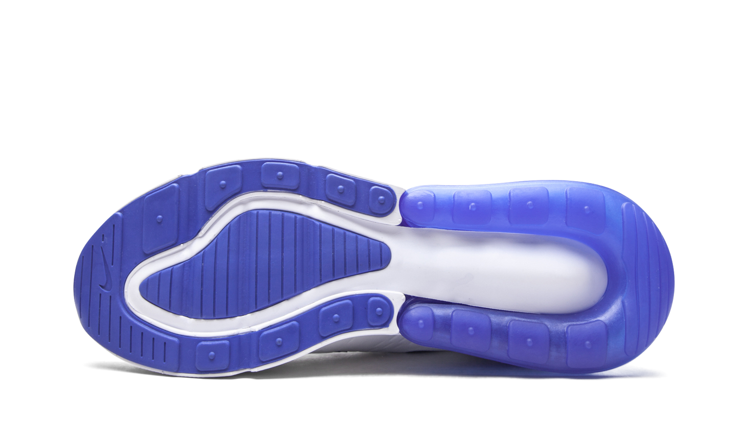 Air Max 270 "Kentucky" DH0268 100