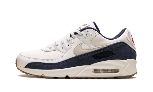 Air Max 90 "Rare Air - Pale Ivory" IH4379 110