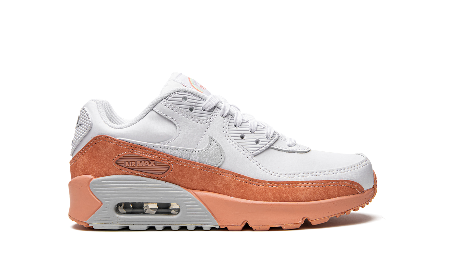 Air Max LTR 90 GS "White Light Madder Root" DM0956 100