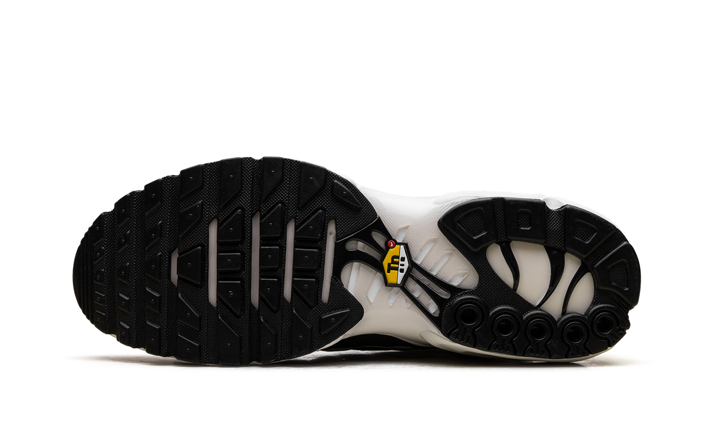 Air Max Plus "Panda" FV6264 001