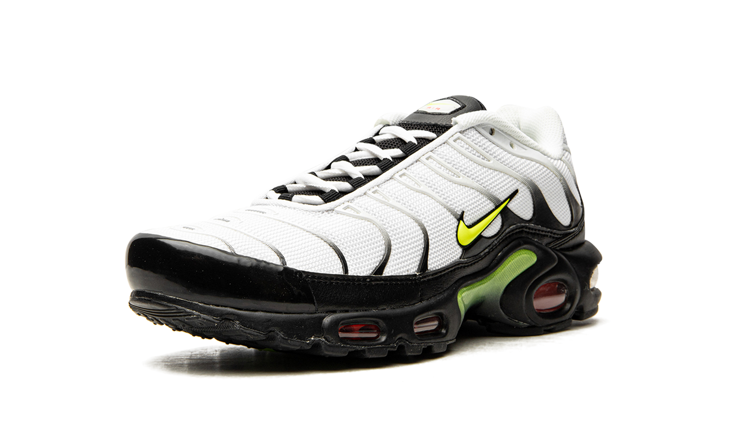 Air Max Plus "Retro Future" AJ2013 100