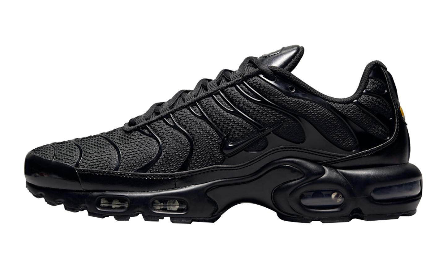 Air Max Plus "Triple Black" AJ2029 001