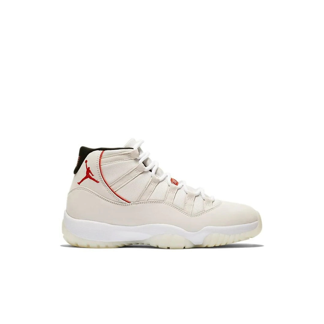 AJ 11 Platinum Tint