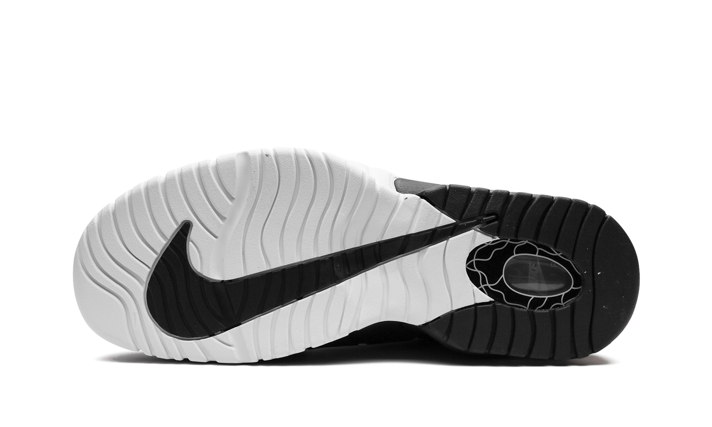 Air Max Penny "Tiger Stripes" FD0783 010