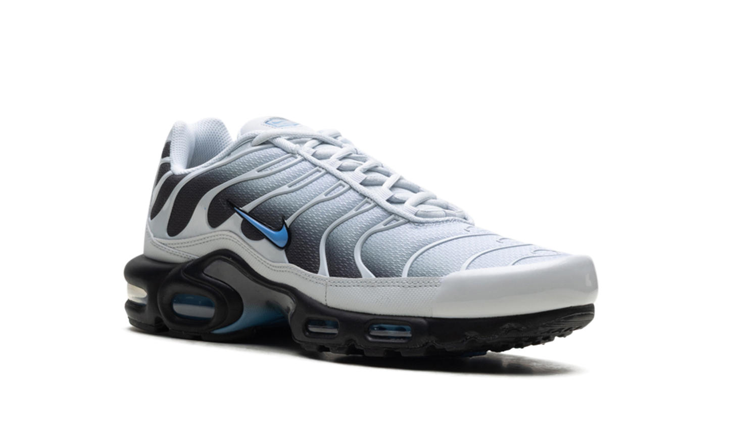 Air Max Plus "Grey University Blue Black" DM0032 015