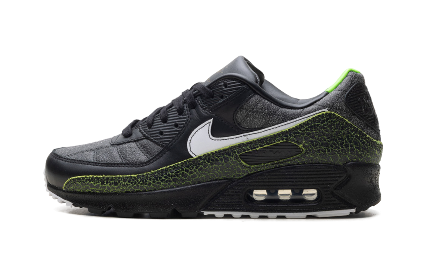Air Max 90 "Tiempo 2005" IU0523 010