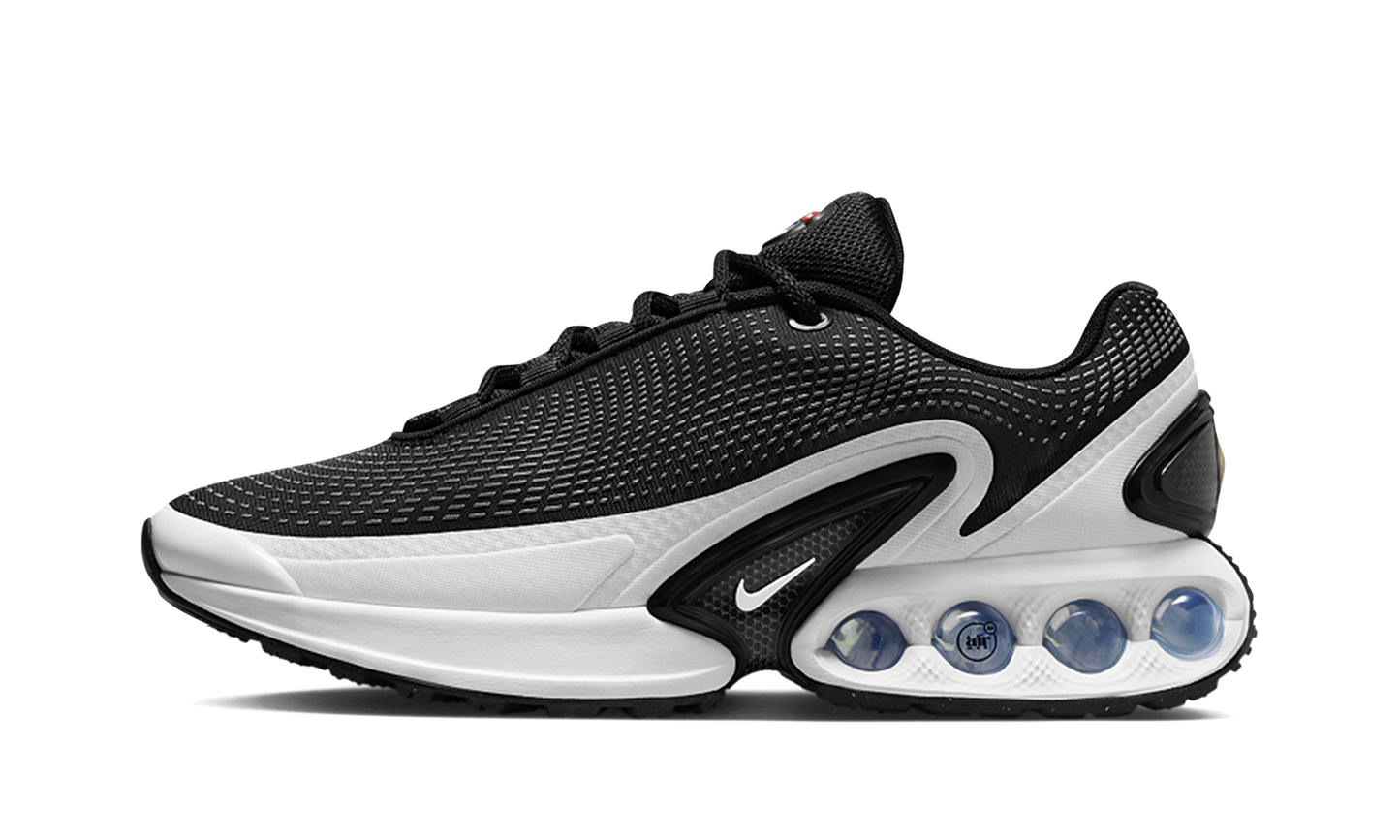 Air Max Dn "Black / White" FJ3145 002