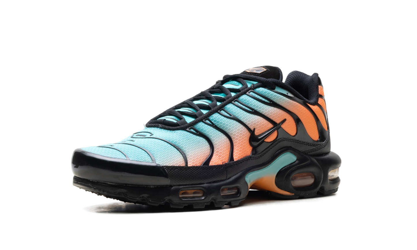 Air Max Plus "South Beach" DM0032 022