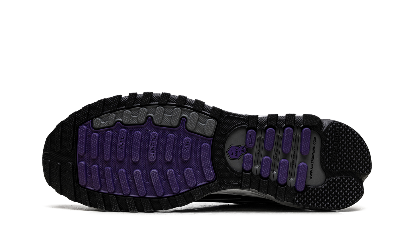 Air Max TL 2.5 "Wild Grape" FZ4110 105