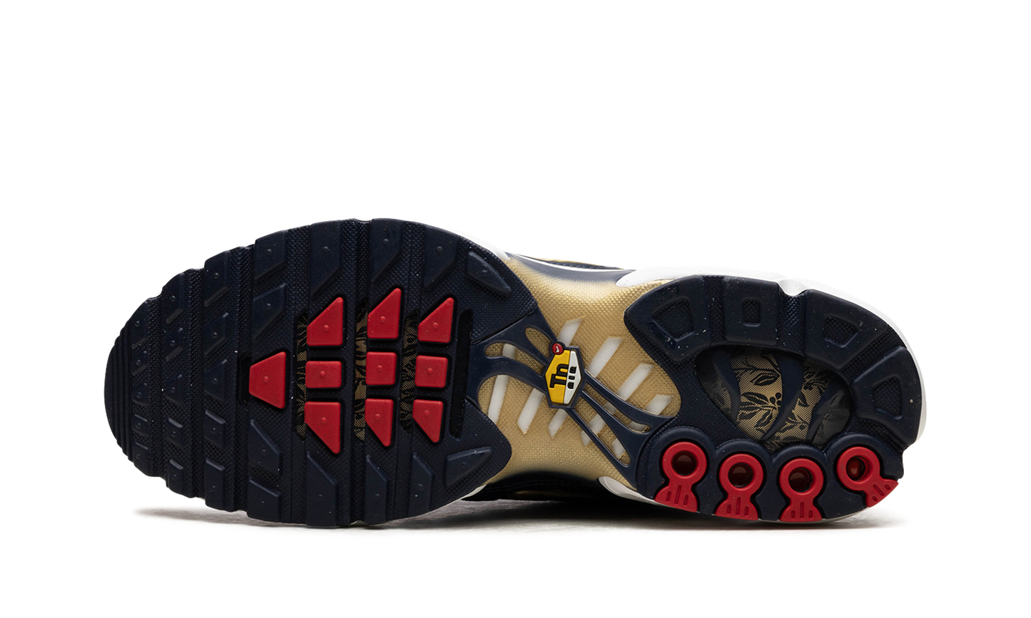 Air Max Plus "FFF" fb3350 400