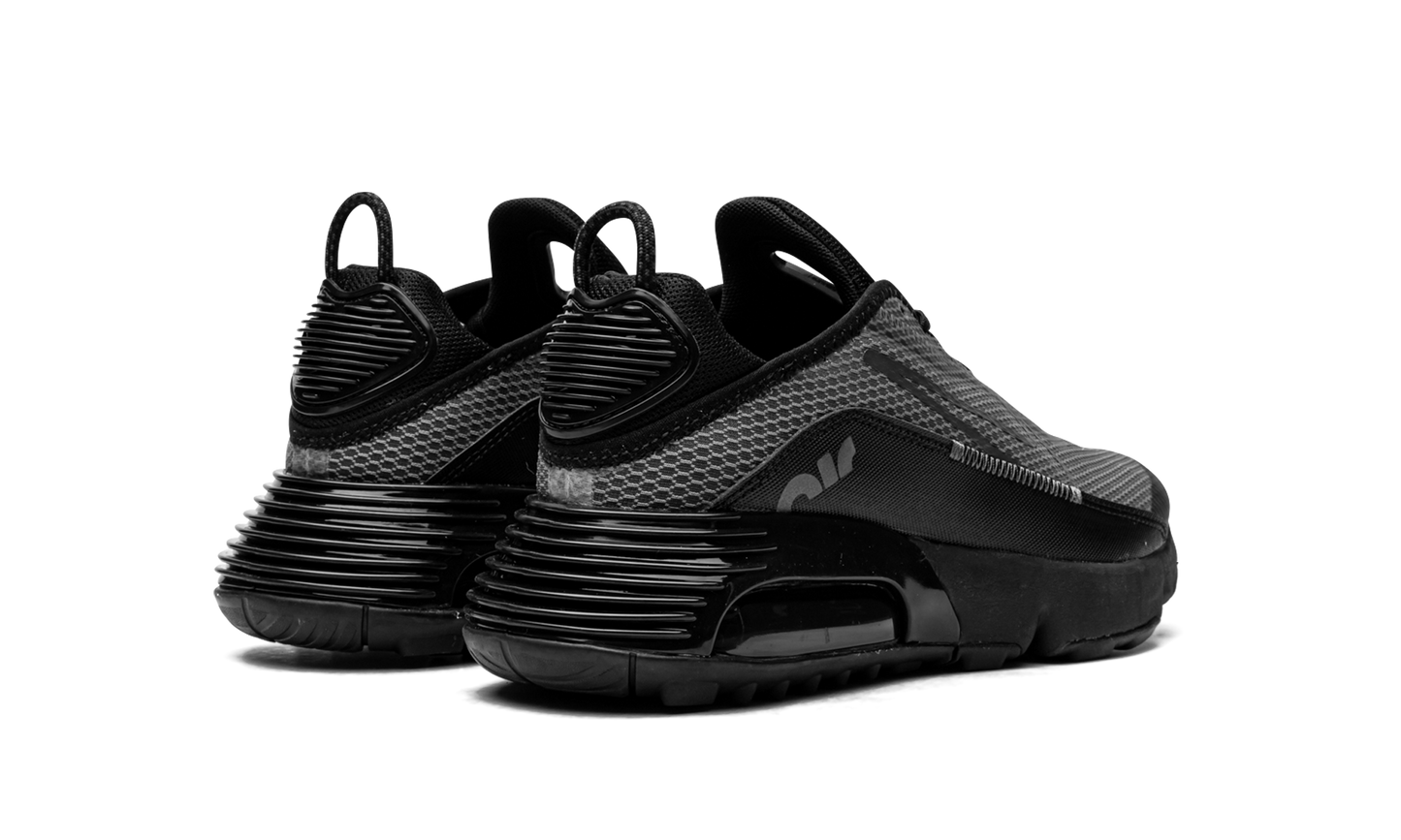 Air Max 2090(GS) "Black Wolf Grey" CJ4066 001