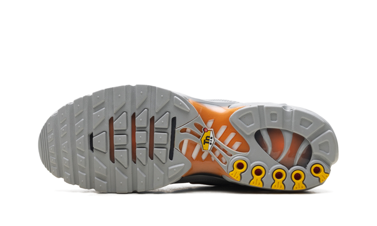 Air Max Plus "Light Smoke Grey Hot Curry" DM0032 037