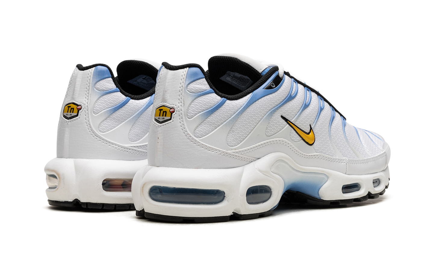 Air Max Plus "White University Blue" DM0032 101