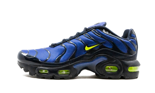Air Max Plus (GS) CD0609 401