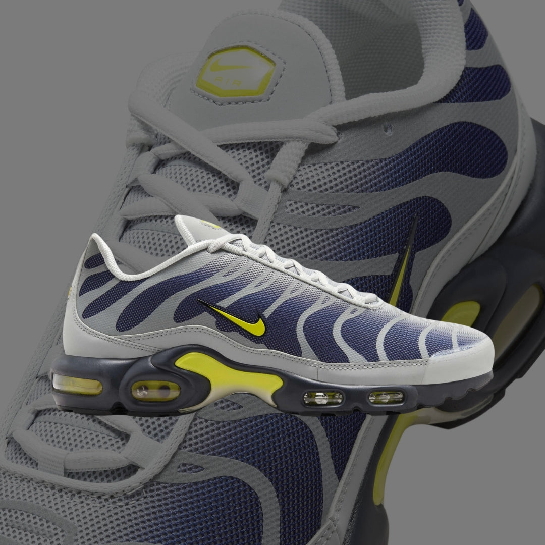 Air Max Plus TN Metallic Silver