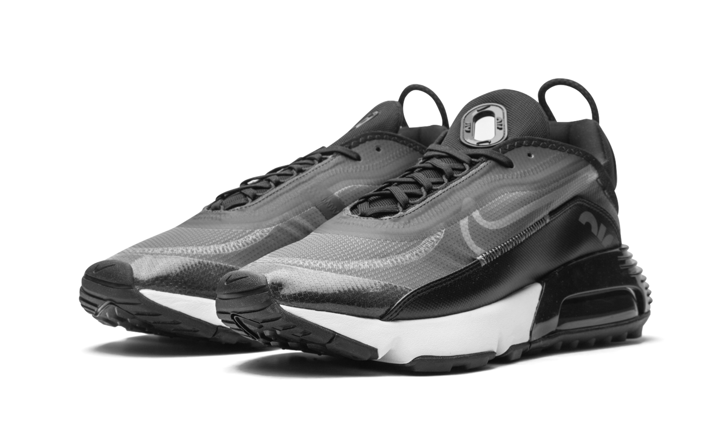 AIR MAX 2090 "Black / Wolf Grey" CW7306 001
