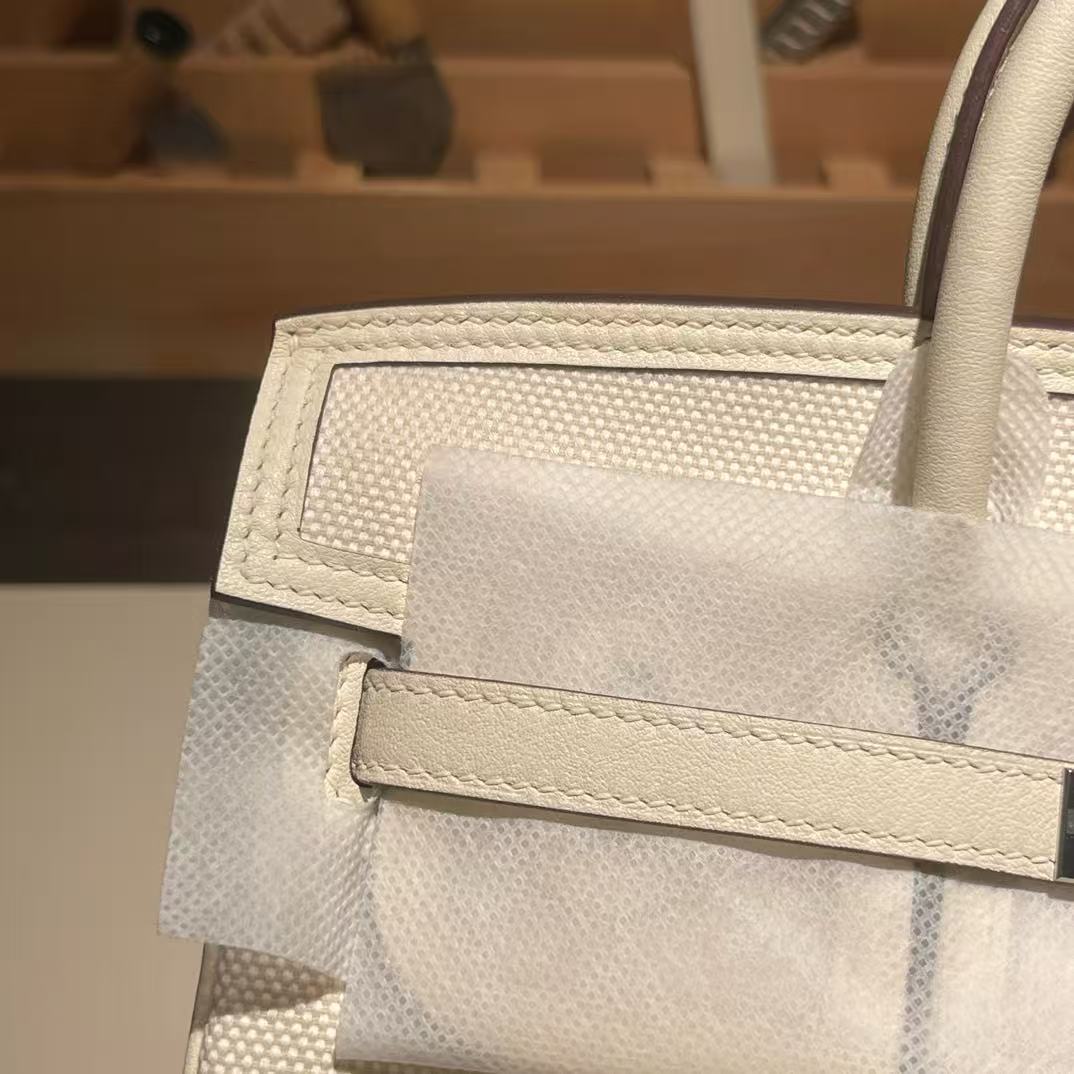HM Birkin 25 Cargo Bag Canvas Toile Swift