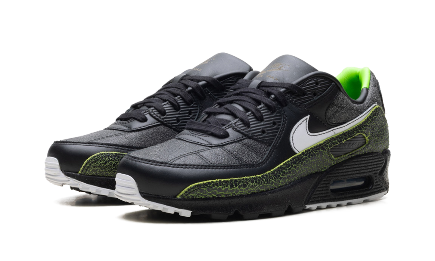 Air Max 90 "Tiempo 2005" IU0523 010