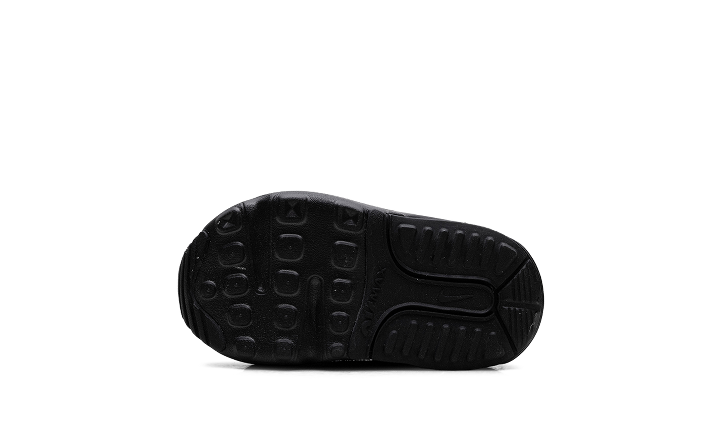 Air Max 2090 TD "Black Wolf Grey" CU2092 001