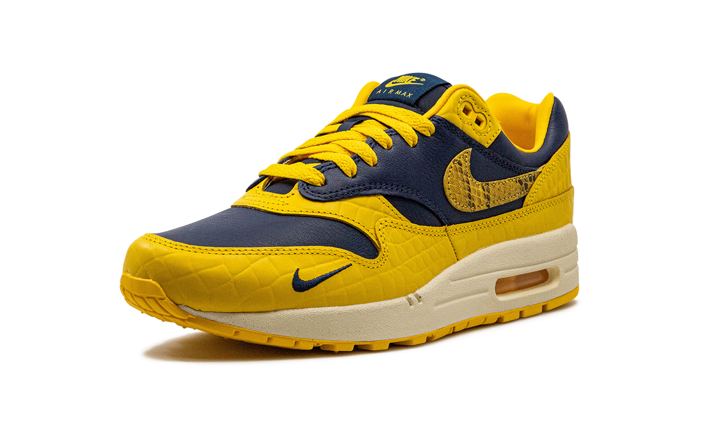 AIR MAX 1 PRM MNS WMNS "Co.jp Head to Head" FJ5479 410