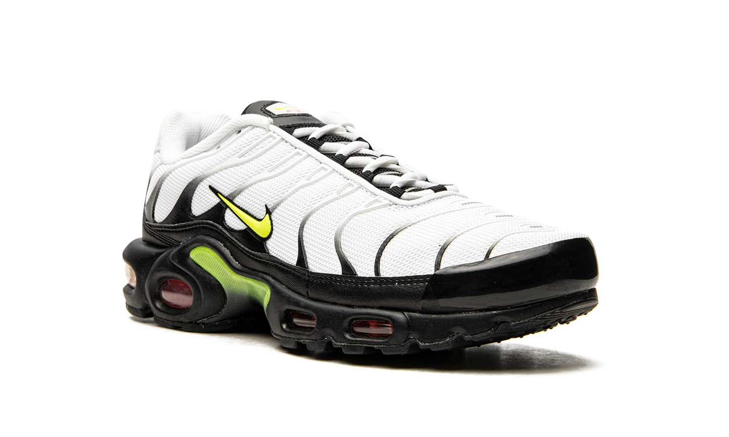 Air Max Plus "Retro Future" AJ2013 100