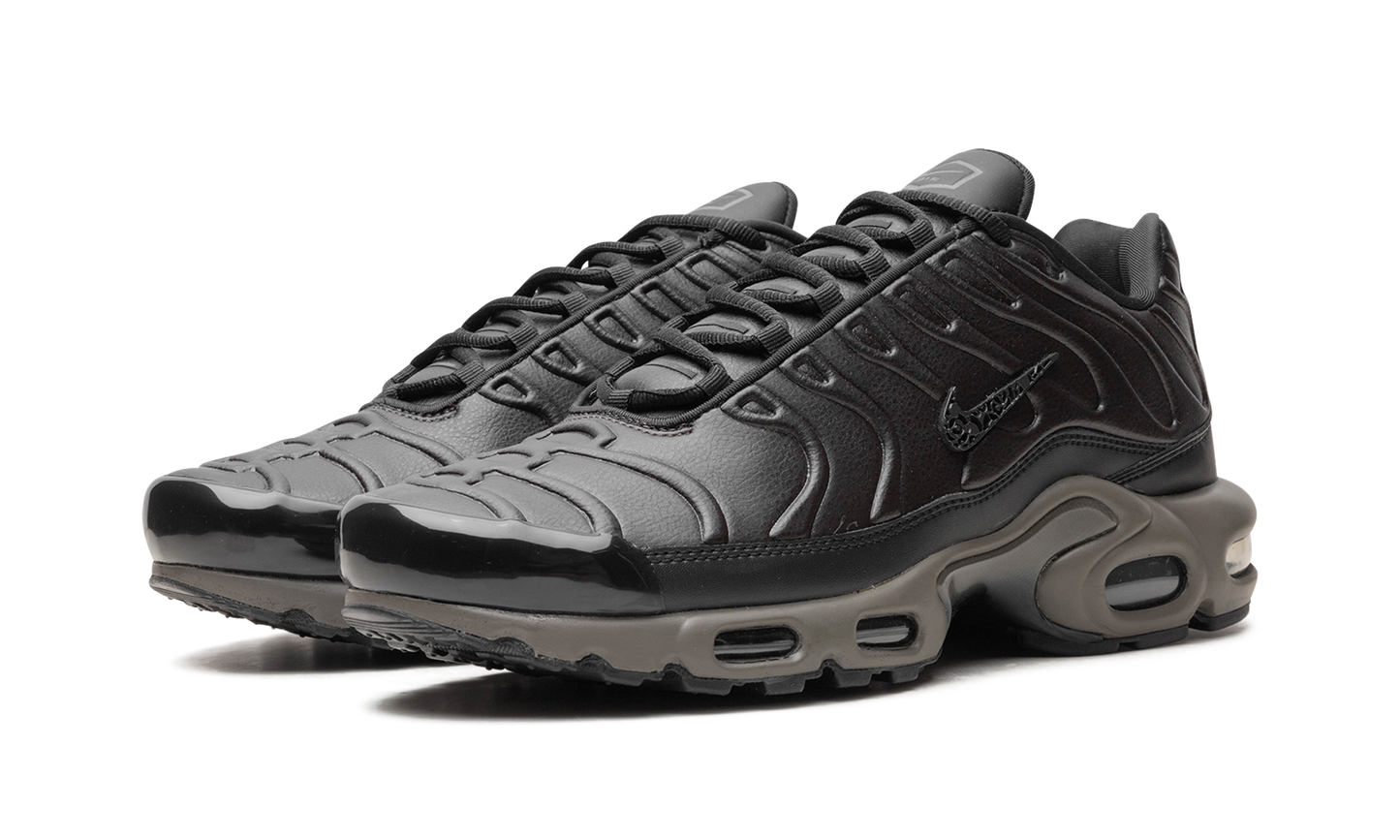 Air Max Plus "Black Tea / Petra Brown" "Black Tea / Petra Brown" HJ4519 200