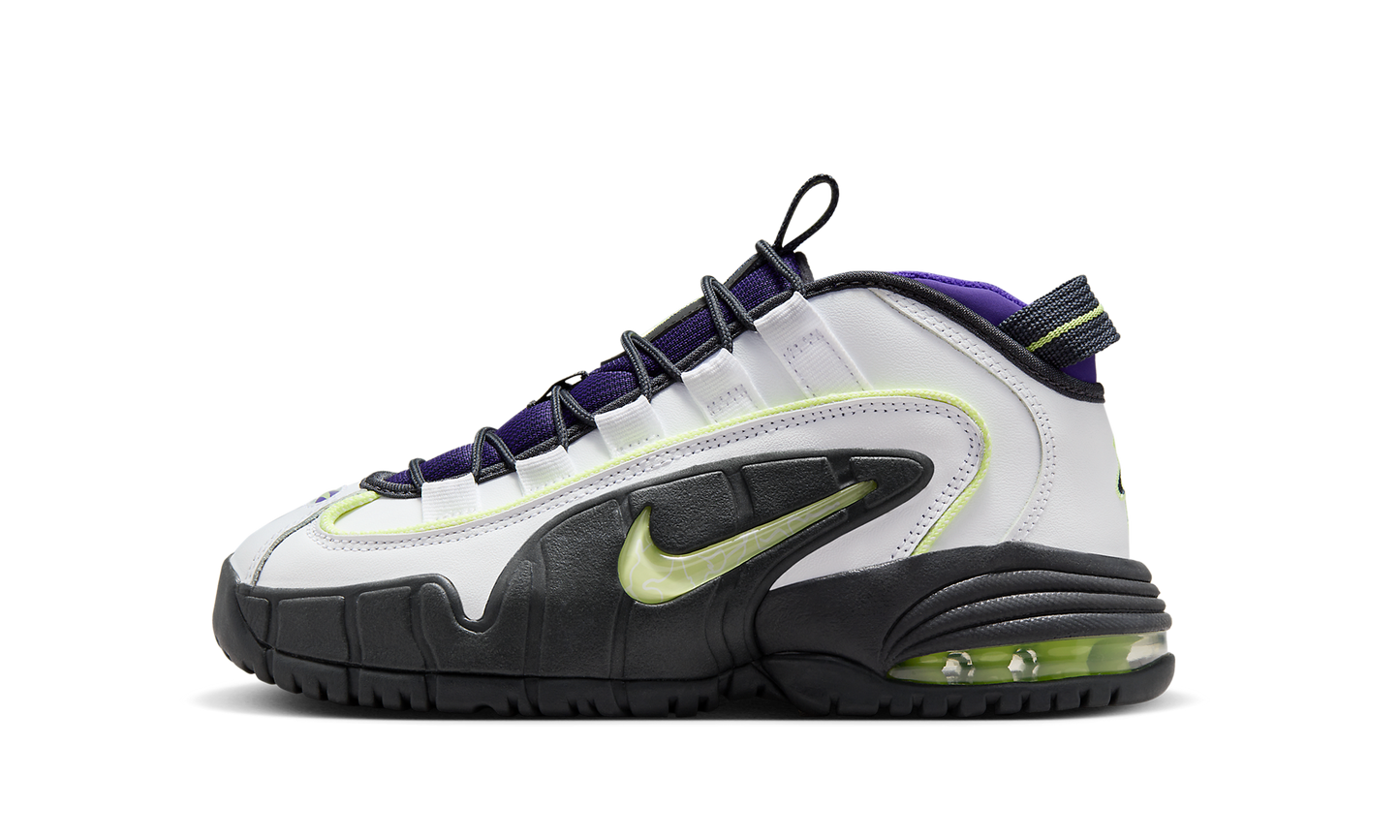 Air Max Penny GS "Penny Story" FZ3546 100