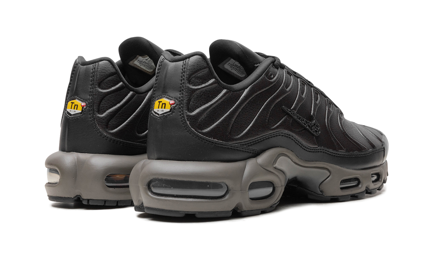 Air Max Plus "Black Tea / Petra Brown" "Black Tea / Petra Brown" HJ4519 200