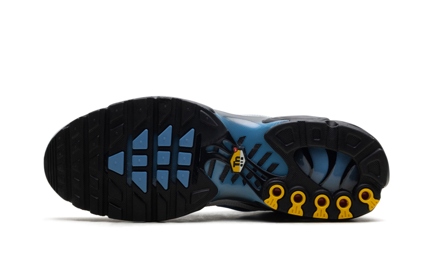 Air Max Plus "Grey University Blue Black" DM0032 015