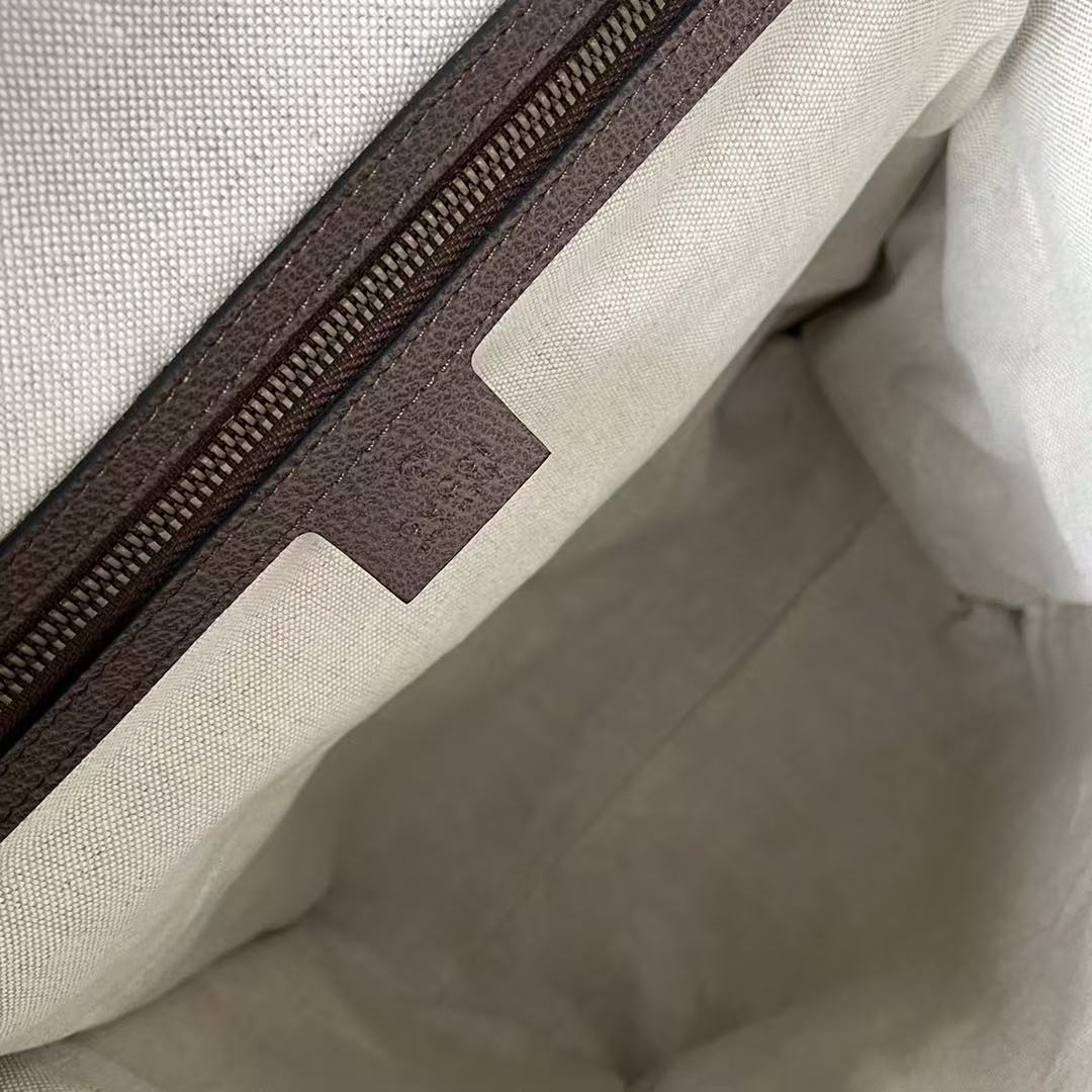 GG Supreme Skateboard Backpack Brown Beige Leather Canvas