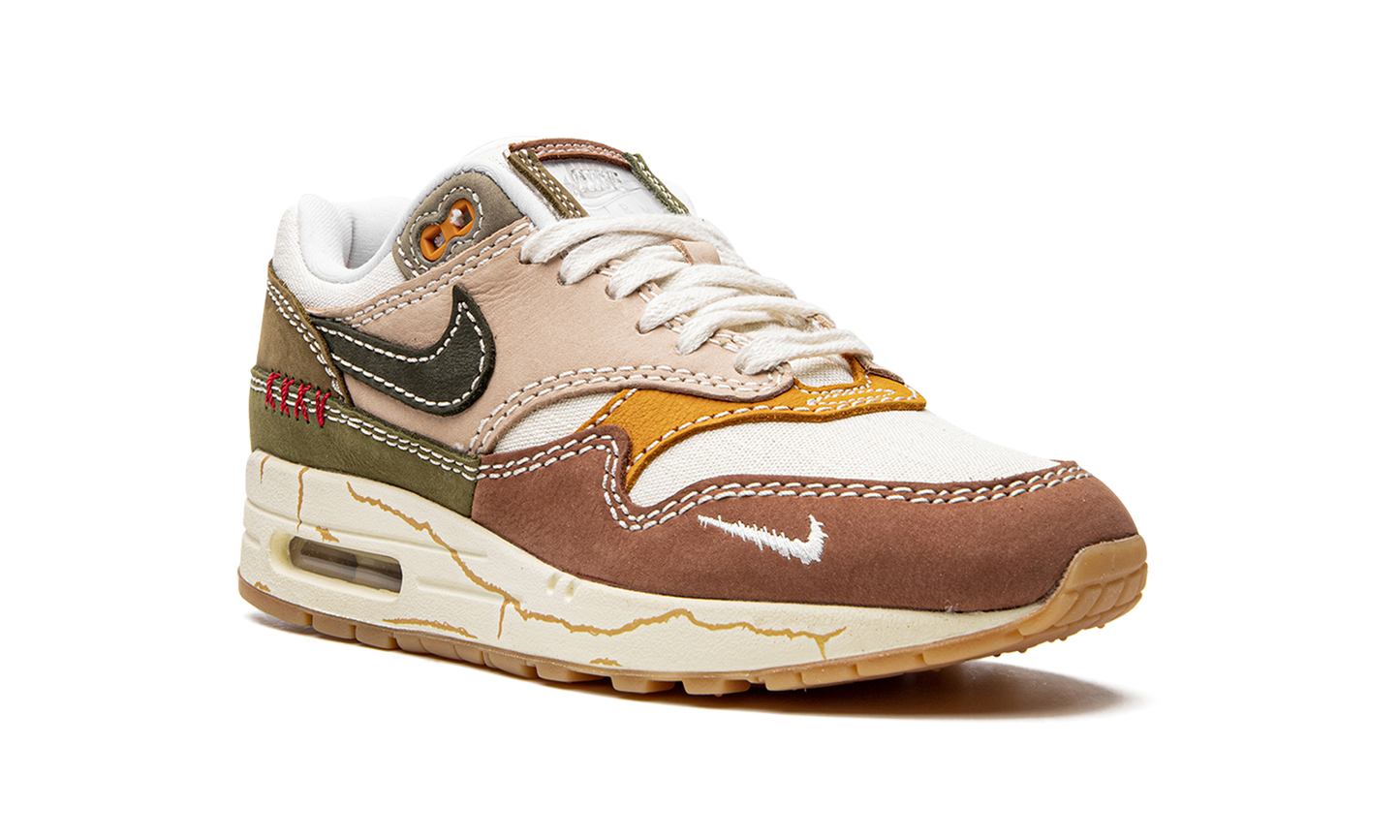 Air Max 1 Premium "Wabi-sabi" DQ8656 133