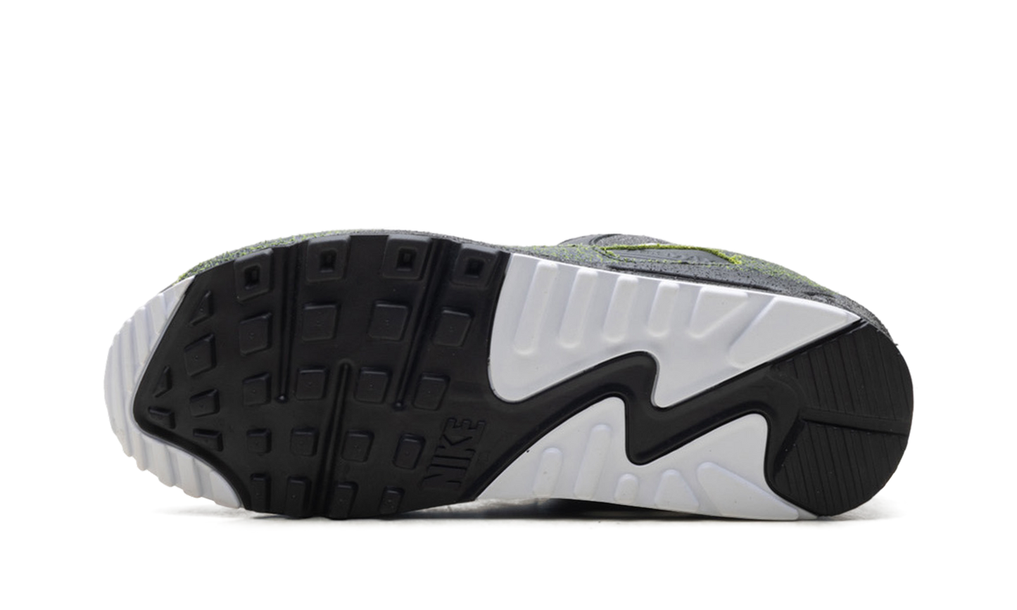 Air Max 90 "Tiempo 2005" IU0523 010