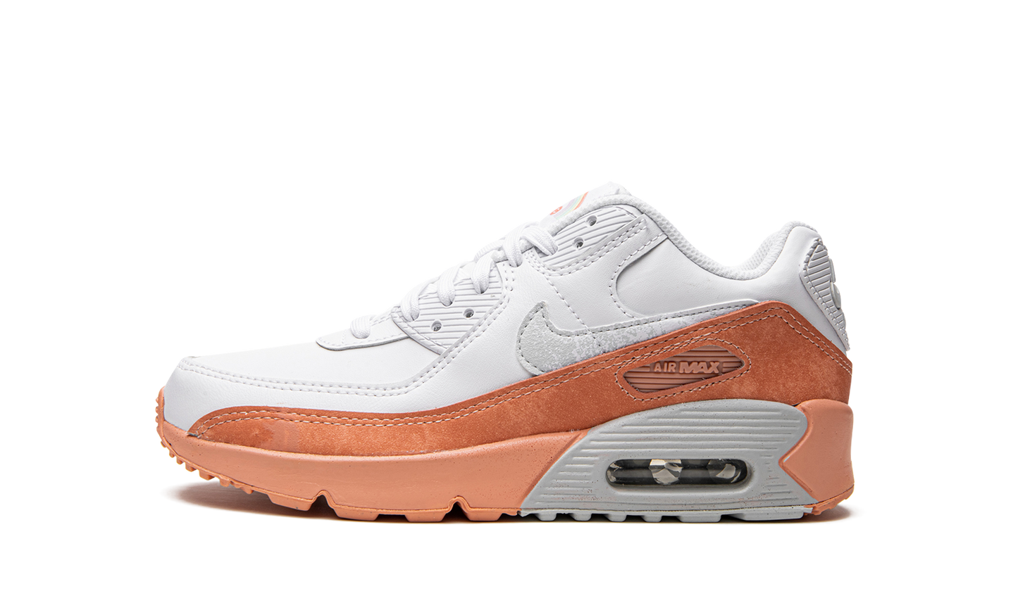 Air Max LTR 90 GS "White Light Madder Root" DM0956 100