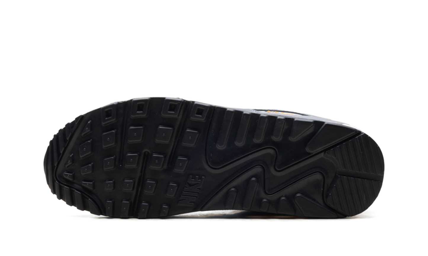 Air Max 90 "Cool Grey Sundial" HV6224 002