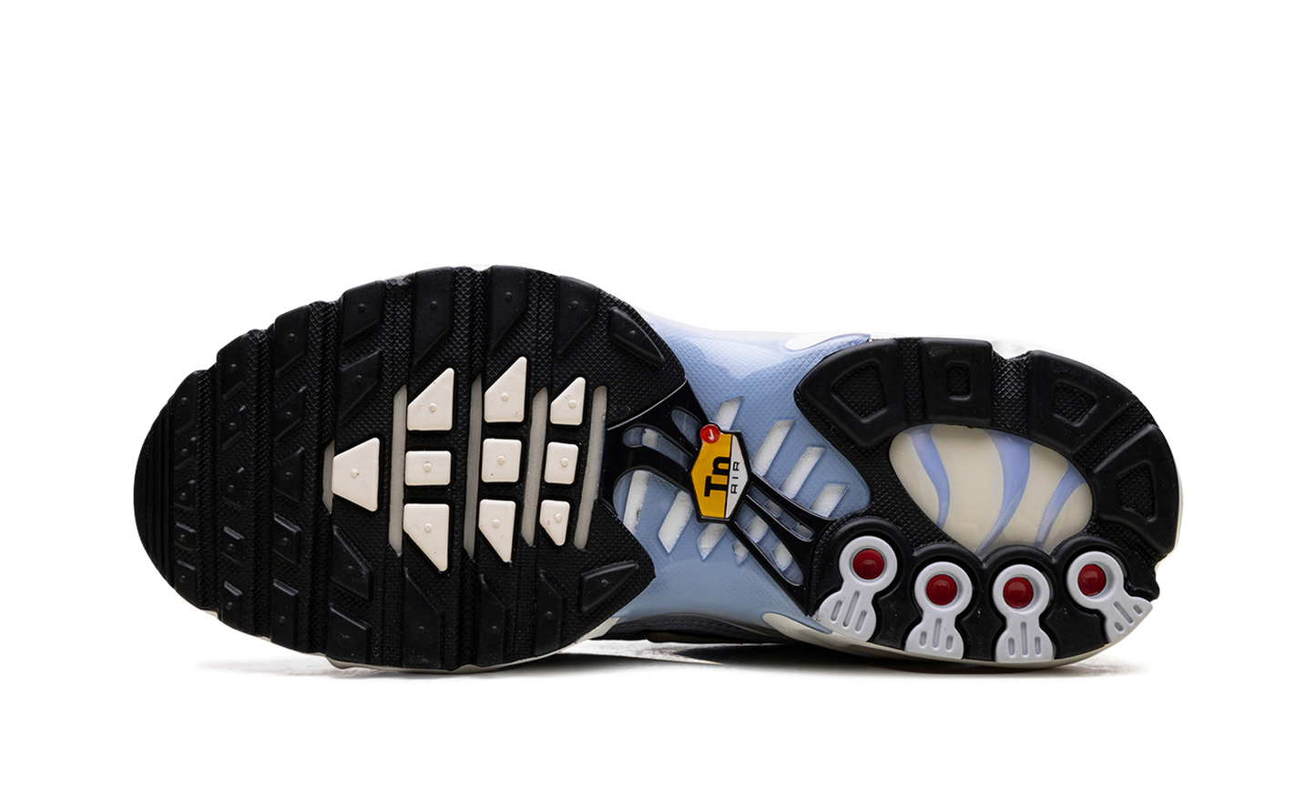 Air Max Plus WMNS "Daybreak" DZ3670 004