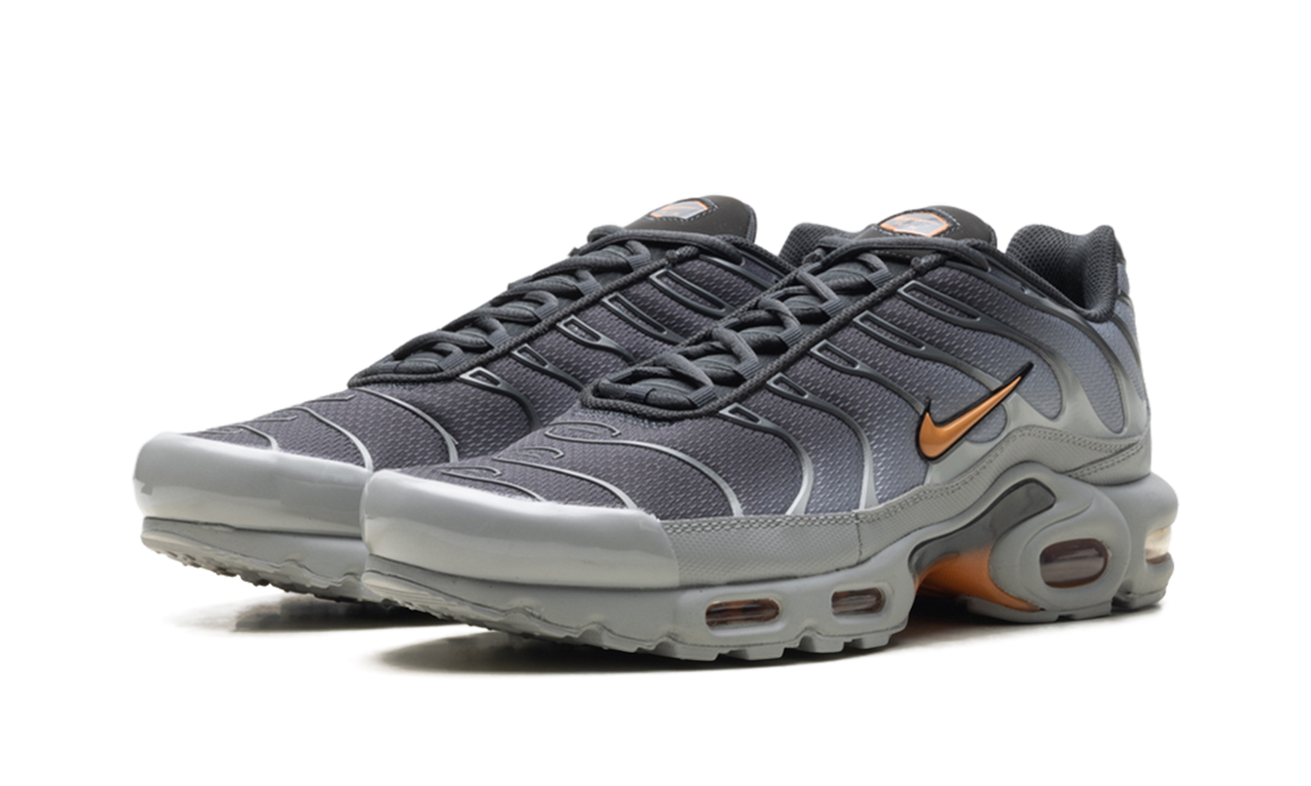 Air Max Plus "Light Smoke Grey Hot Curry" DM0032 037