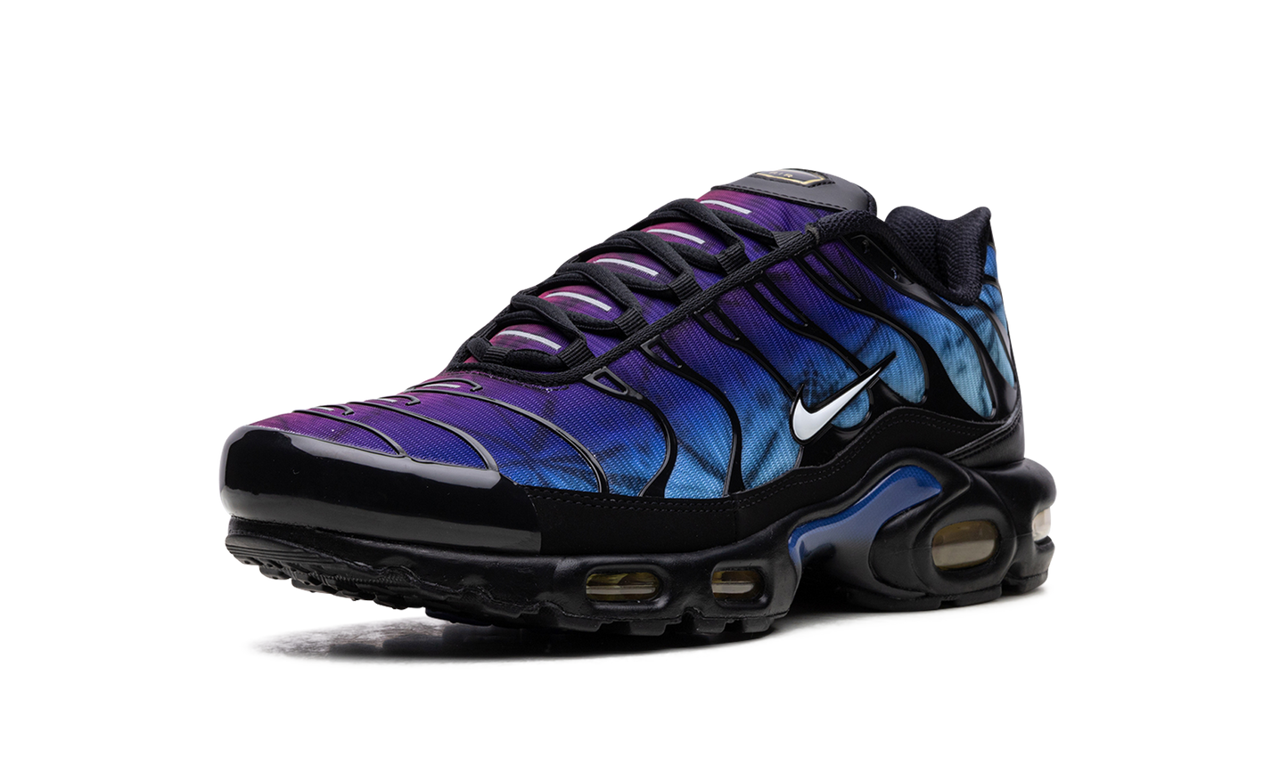 Air Max Plus "25th Anniversary" FV0393 001