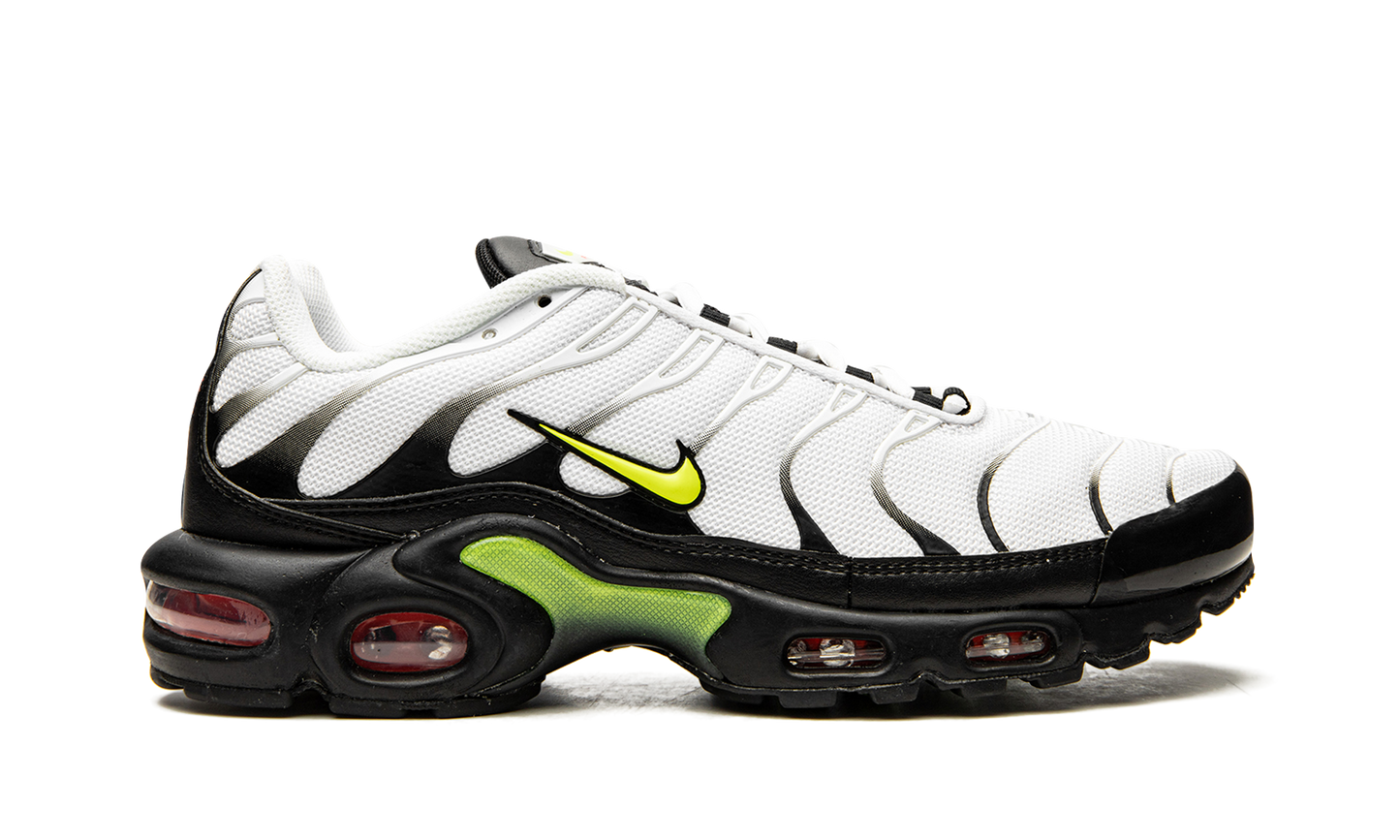Air Max Plus "Retro Future" AJ2013 100